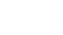 White logo on a white background.